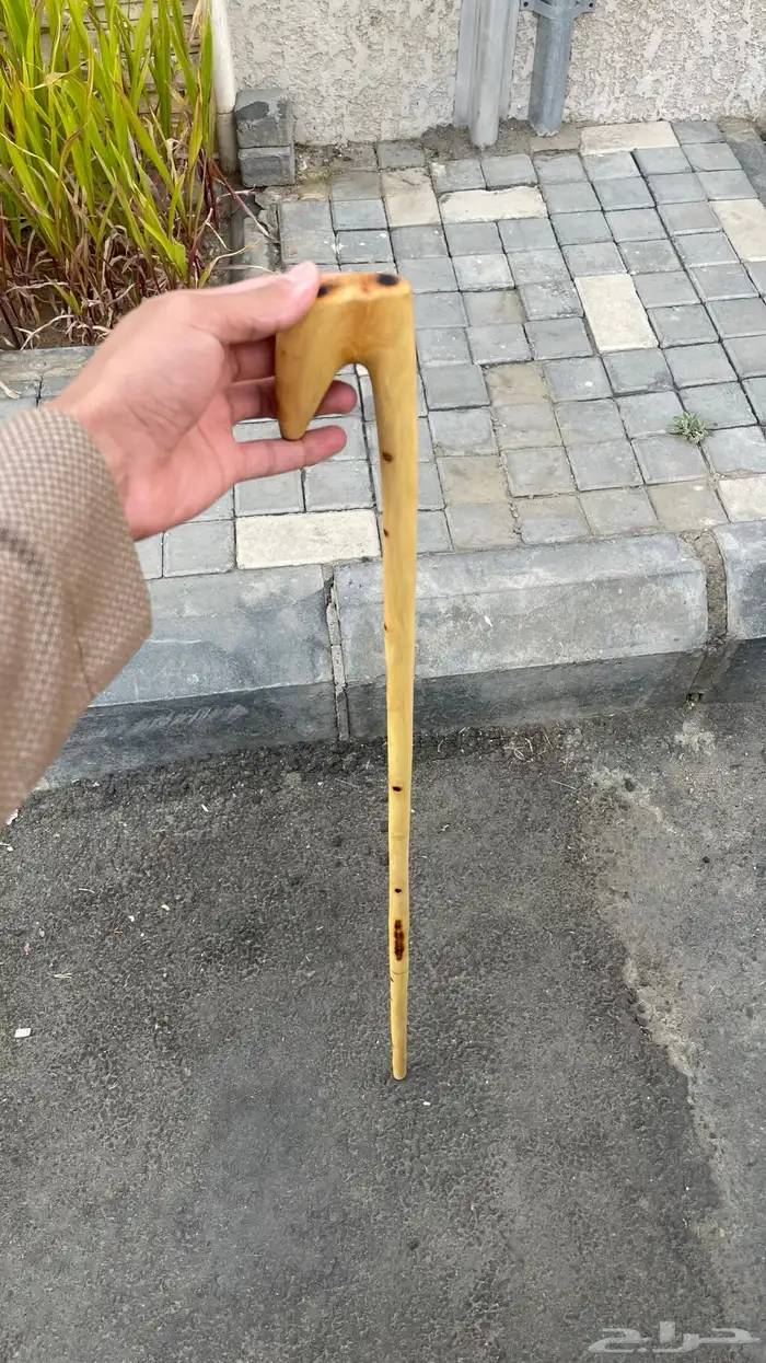 مشعاب جنوبي ممتاز 2