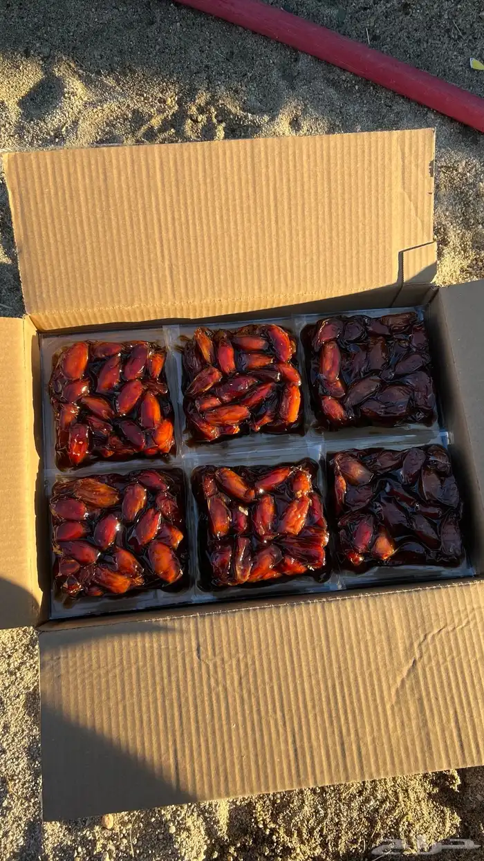 تمر صفري فاخر 3