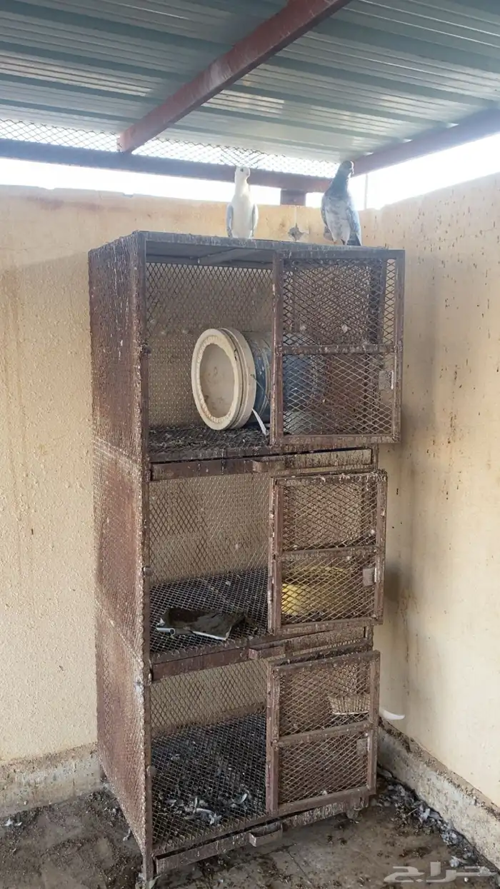 خانات حمام 1