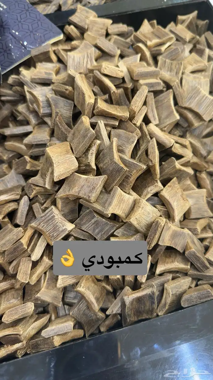 عود كفو وبطل 0