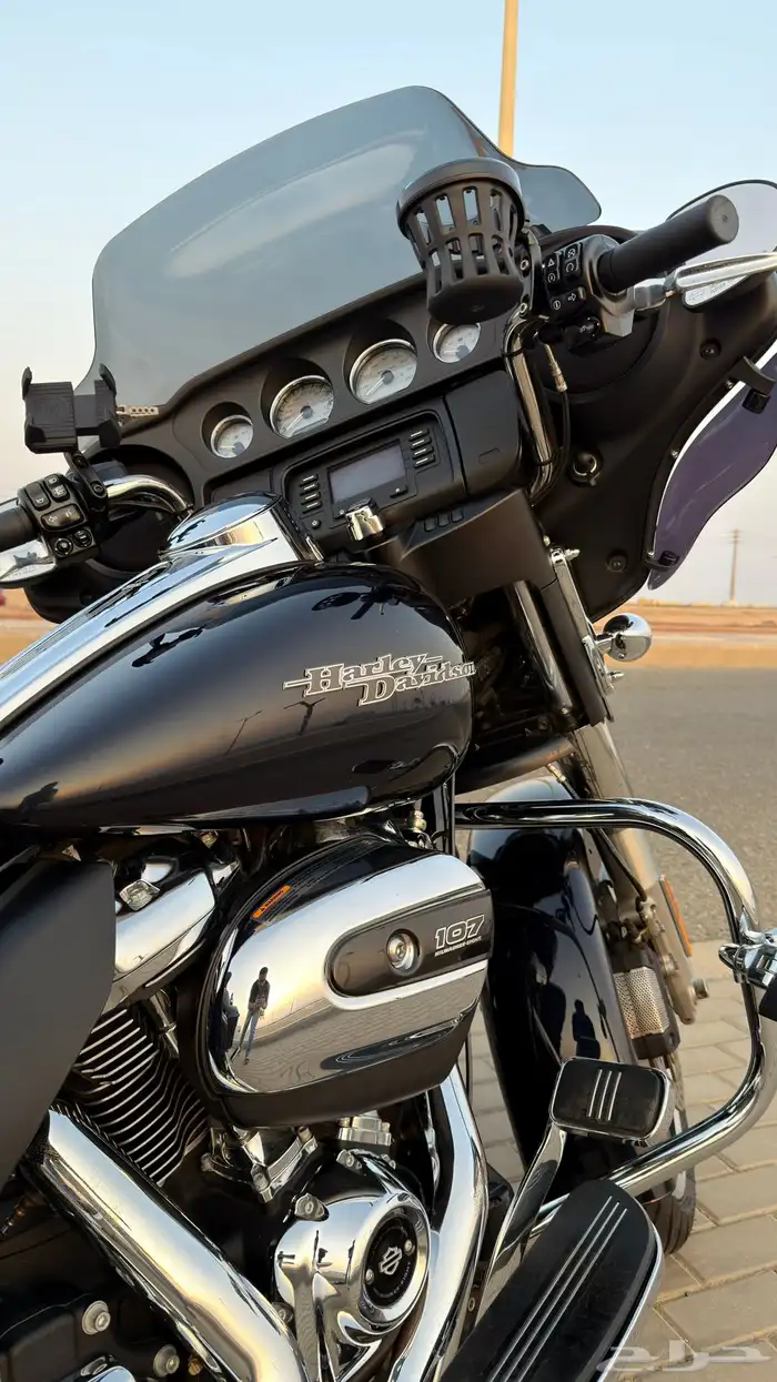 هارلي ستريت قلايد 2019 7