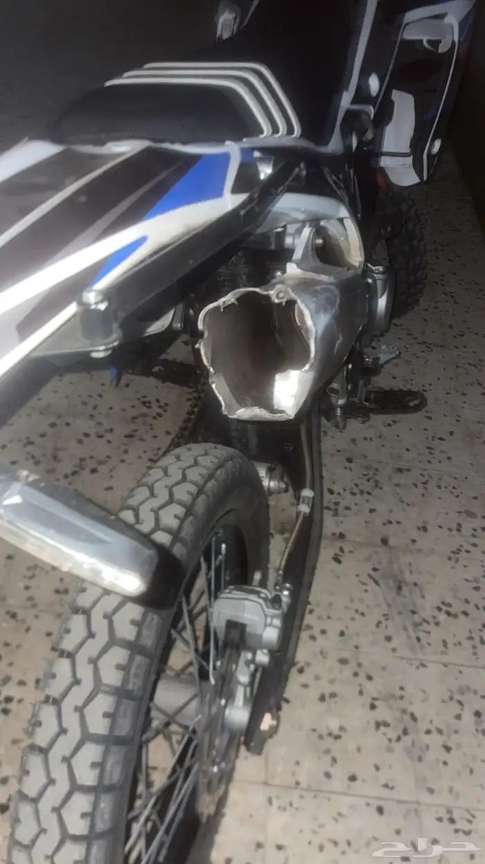 صحراوي 250 مهدي 8