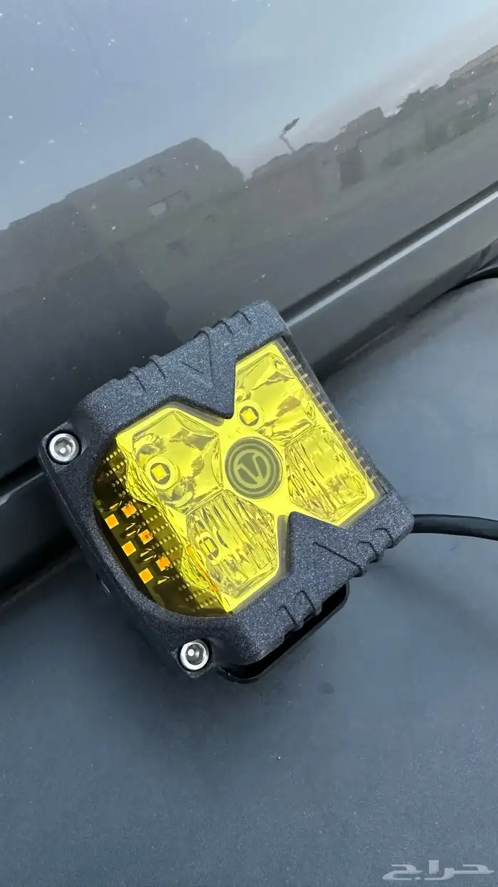 كشاف كبوت برتقالي 1