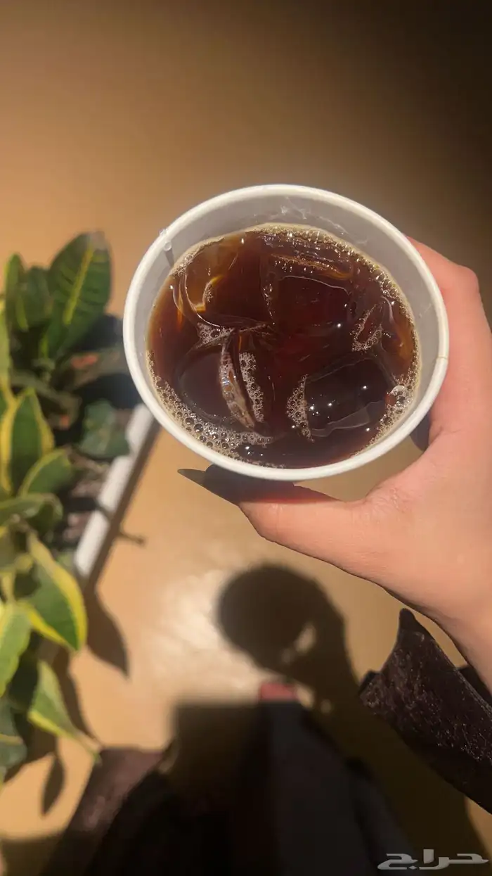 مطلوب شقة للاجار 0