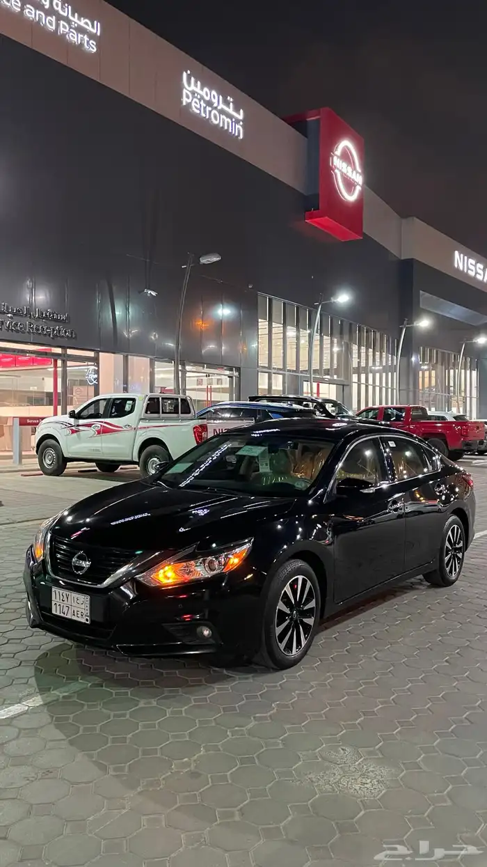 التيما 2018 11