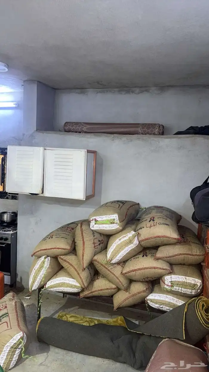 حب قريني وابيض 0