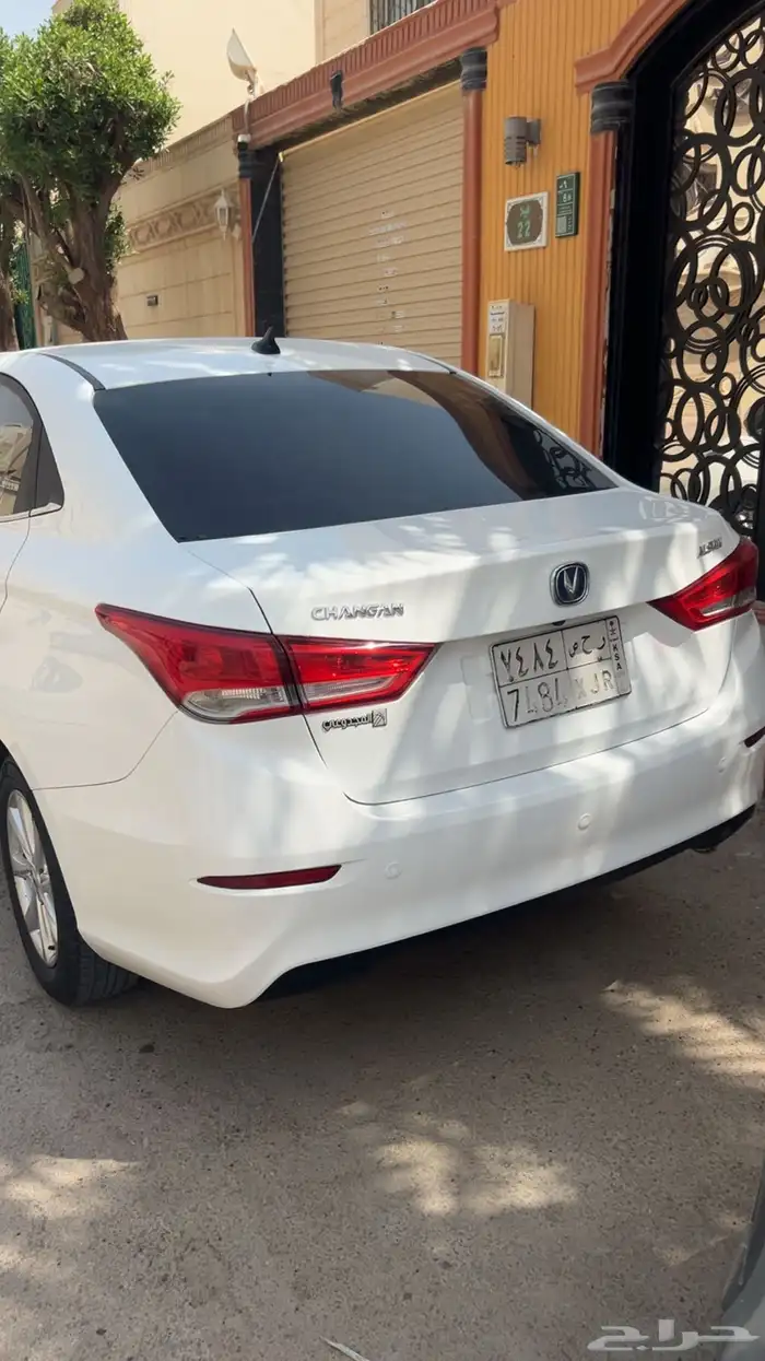 شانجان السفن 2023 فل كامل 3