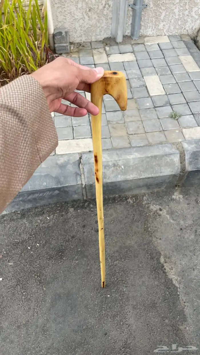 مشعاب جنوبي ممتاز 3