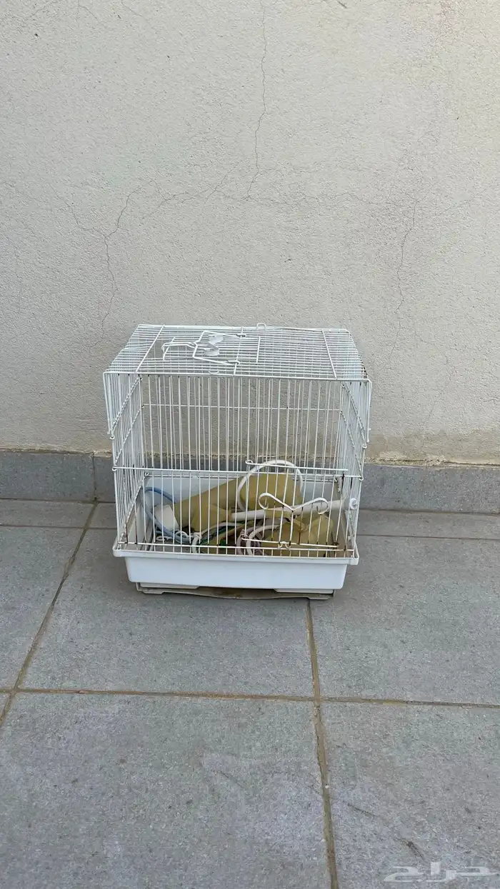 شبك طيور مستخدم بدون كسور 1