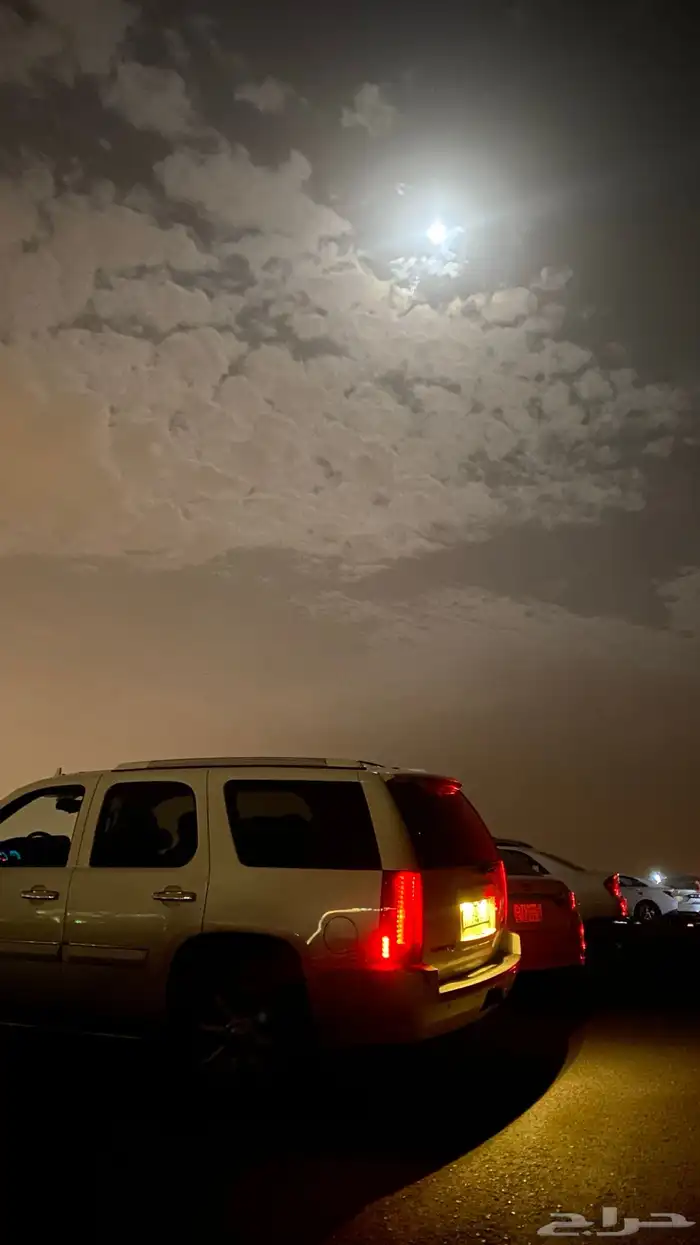 جمس دينالي وارد امريكا 7