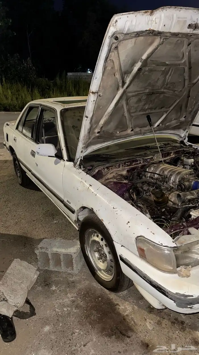 كرسيدا ملكززه 2