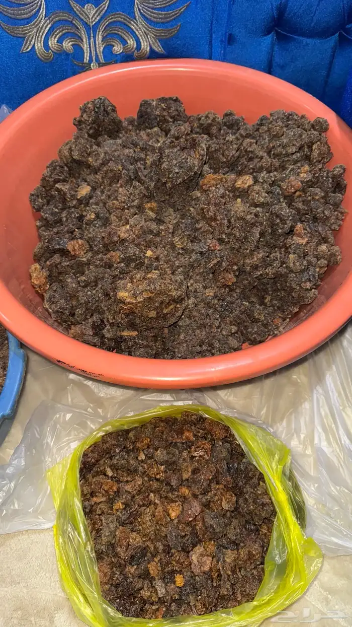 عشبه المره 0