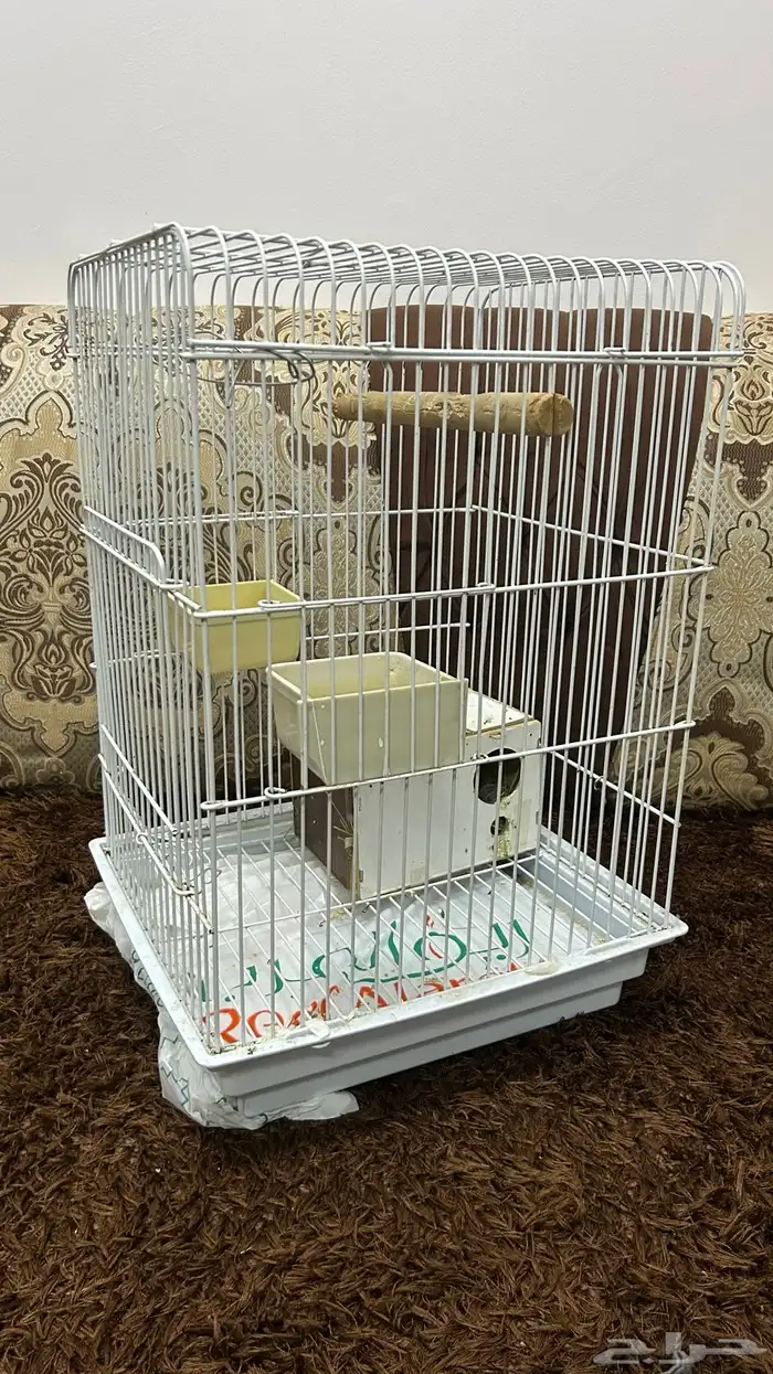 زوجين روز للبيع 0