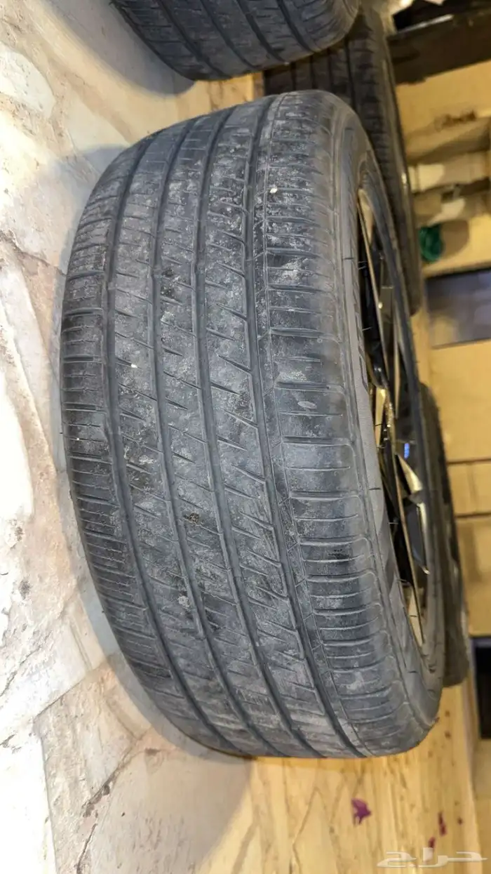 جنوط النترا وكاله فل كامل 2022 3