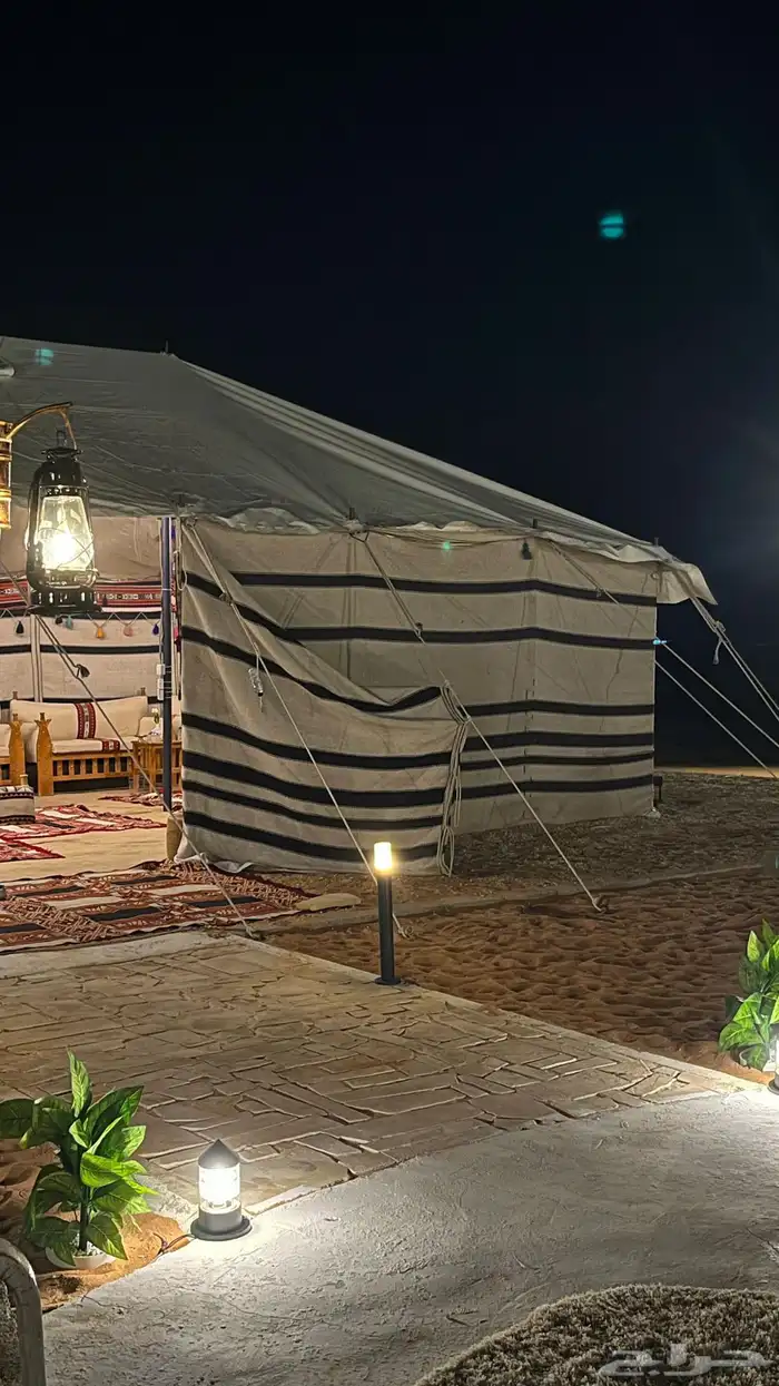 مخيم المملكة ايجار 4