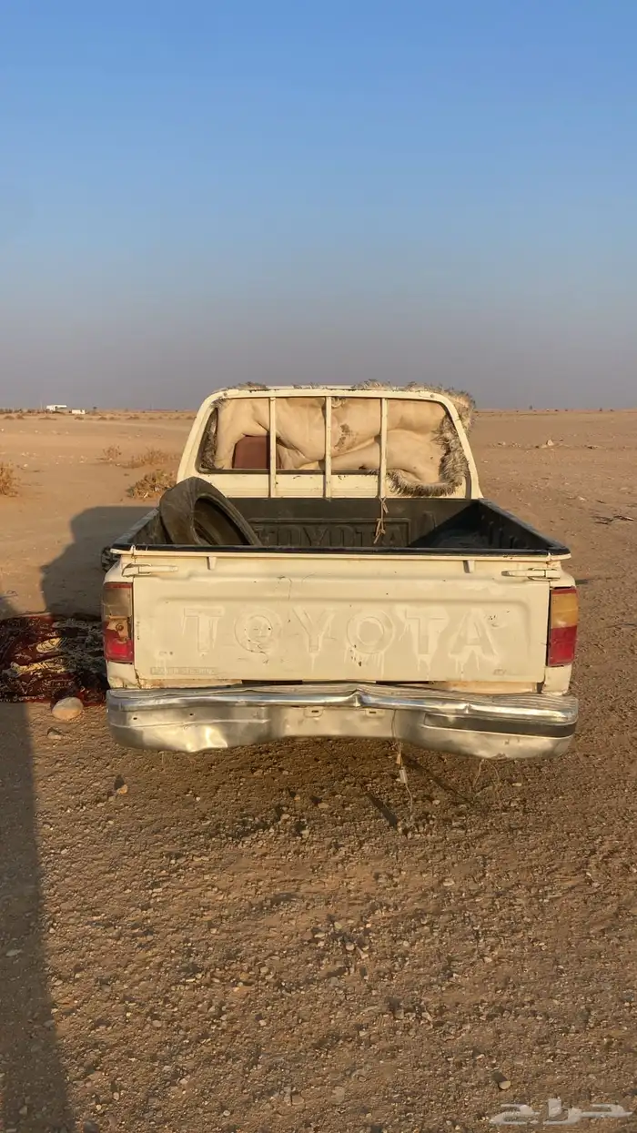 هليقس لابيع تصلح لامزرع و دخل المدينه 0