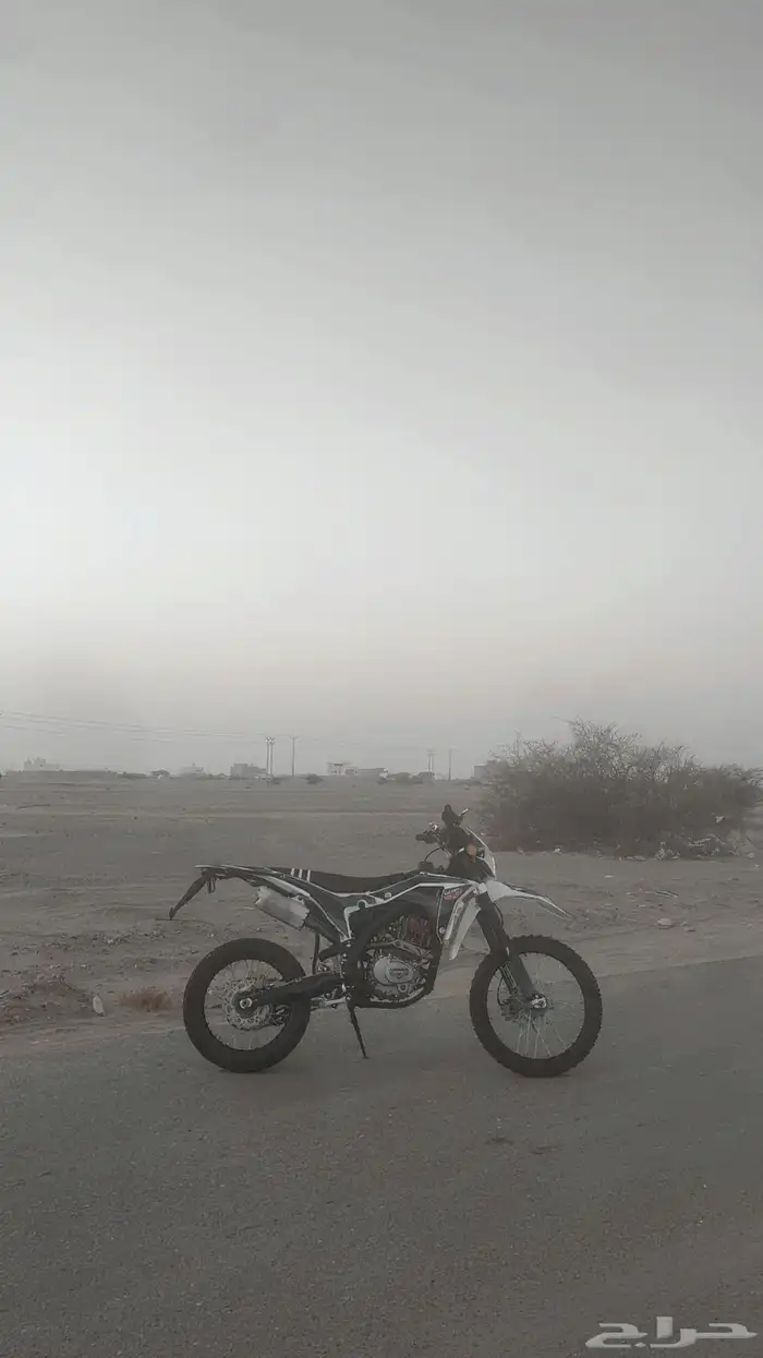 صحراوي 250 مهدي 5