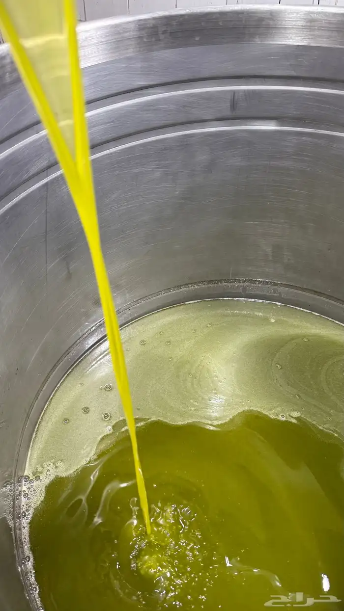 زيت زيتون مزراع باير الجوف. لون وطعم وريحه وجوده عاليه. 3