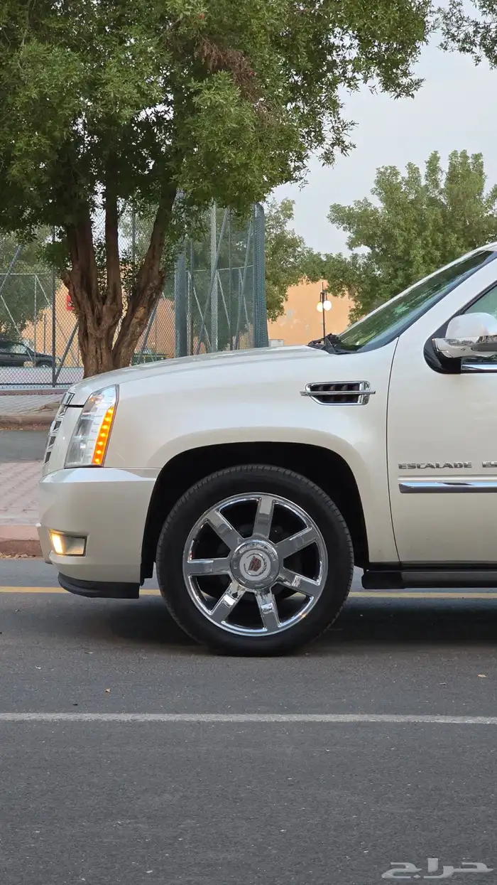 كدلك - اسكاليد - 2010 - سعودي - فل - مخزن 15