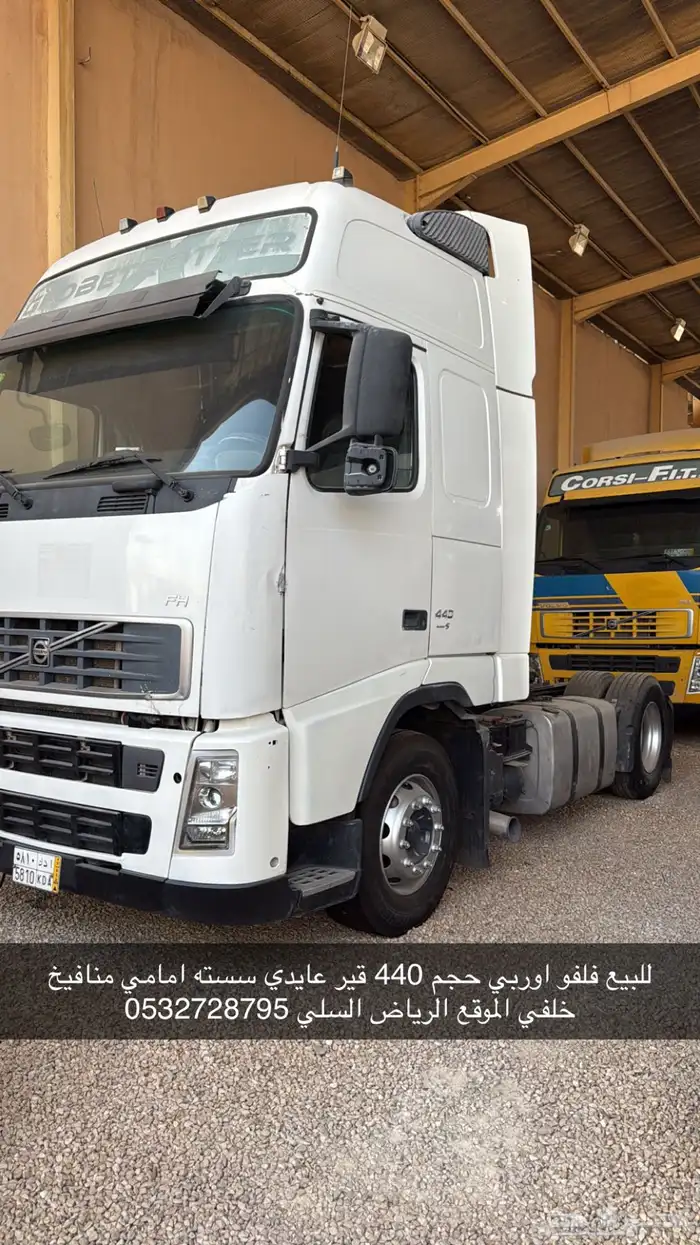 فلفو 2008 عدد 4 1