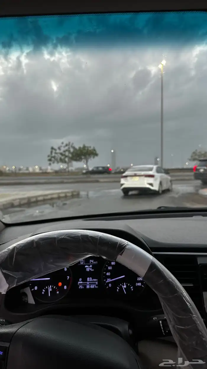 النترا 2017 نص فل 11