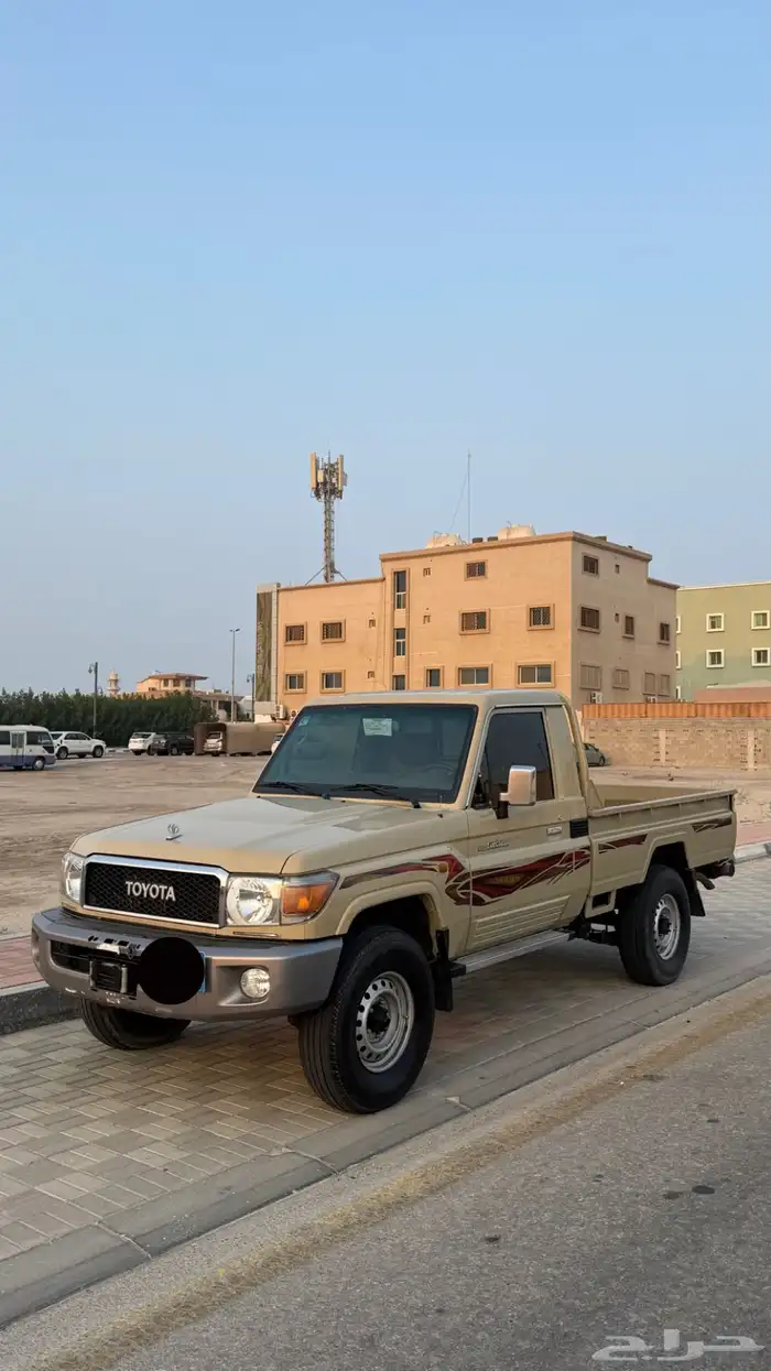 شاص سلق 2020 1