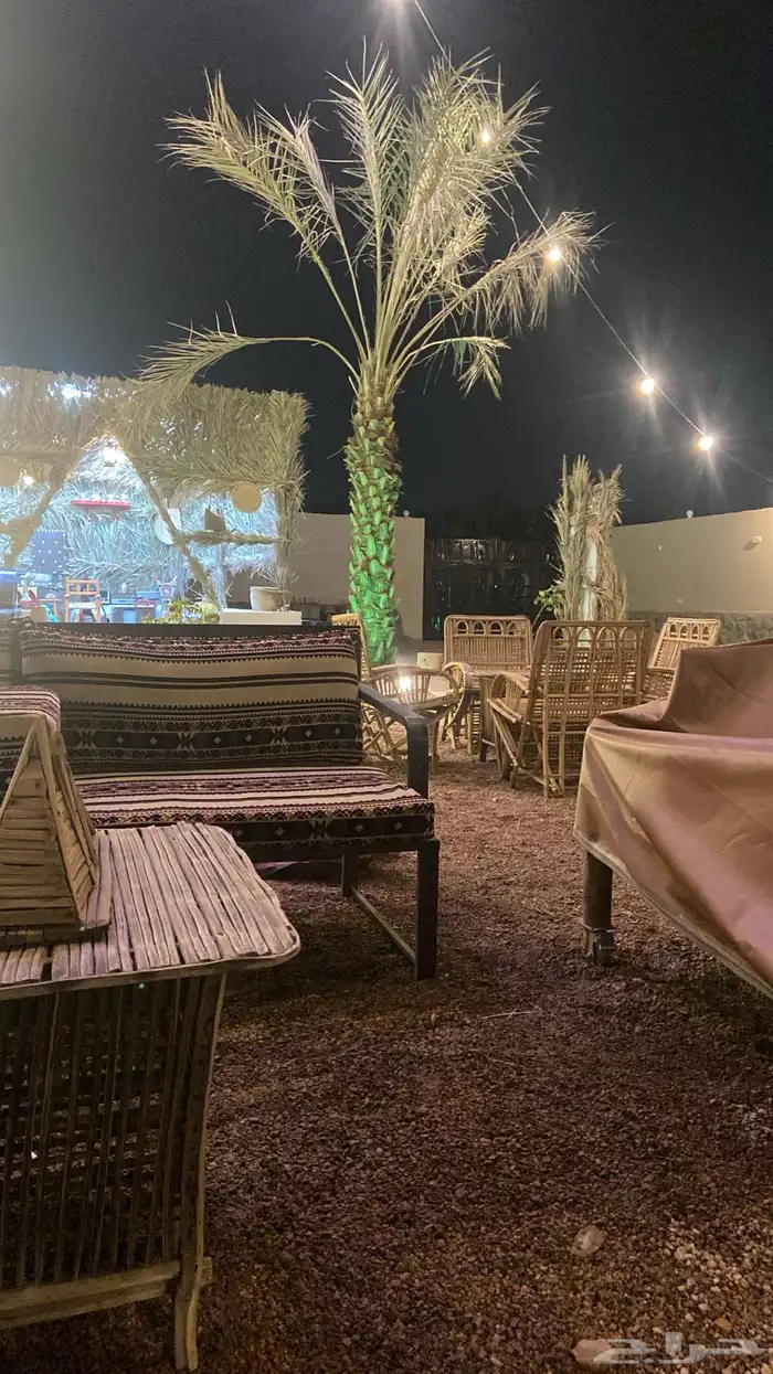 مخيم واستراحة الرمانه 5