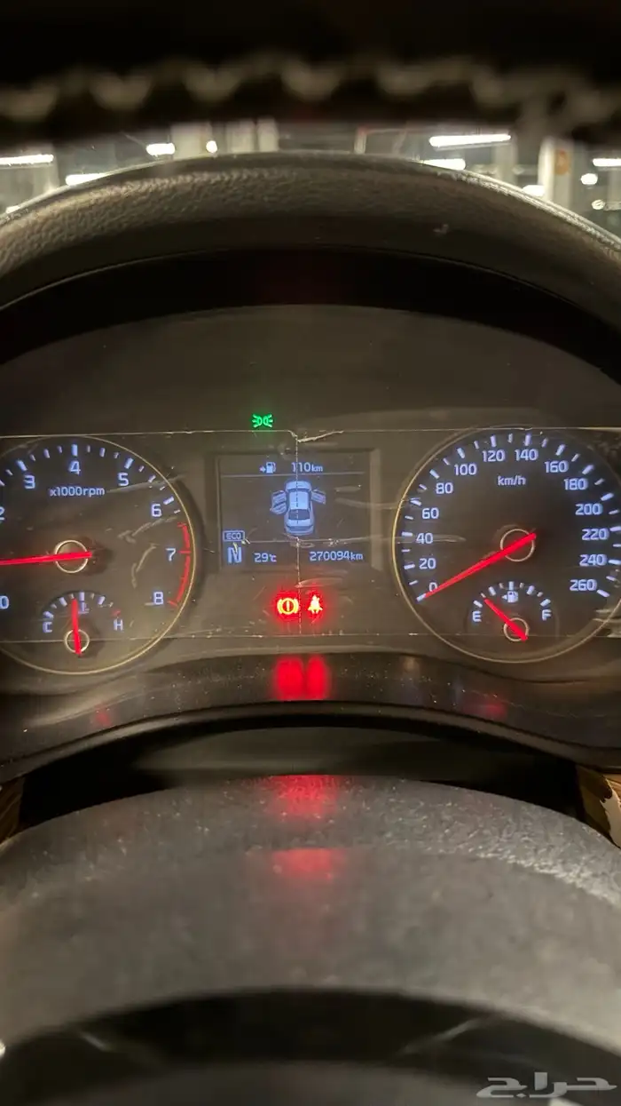 كادينزا 17 20