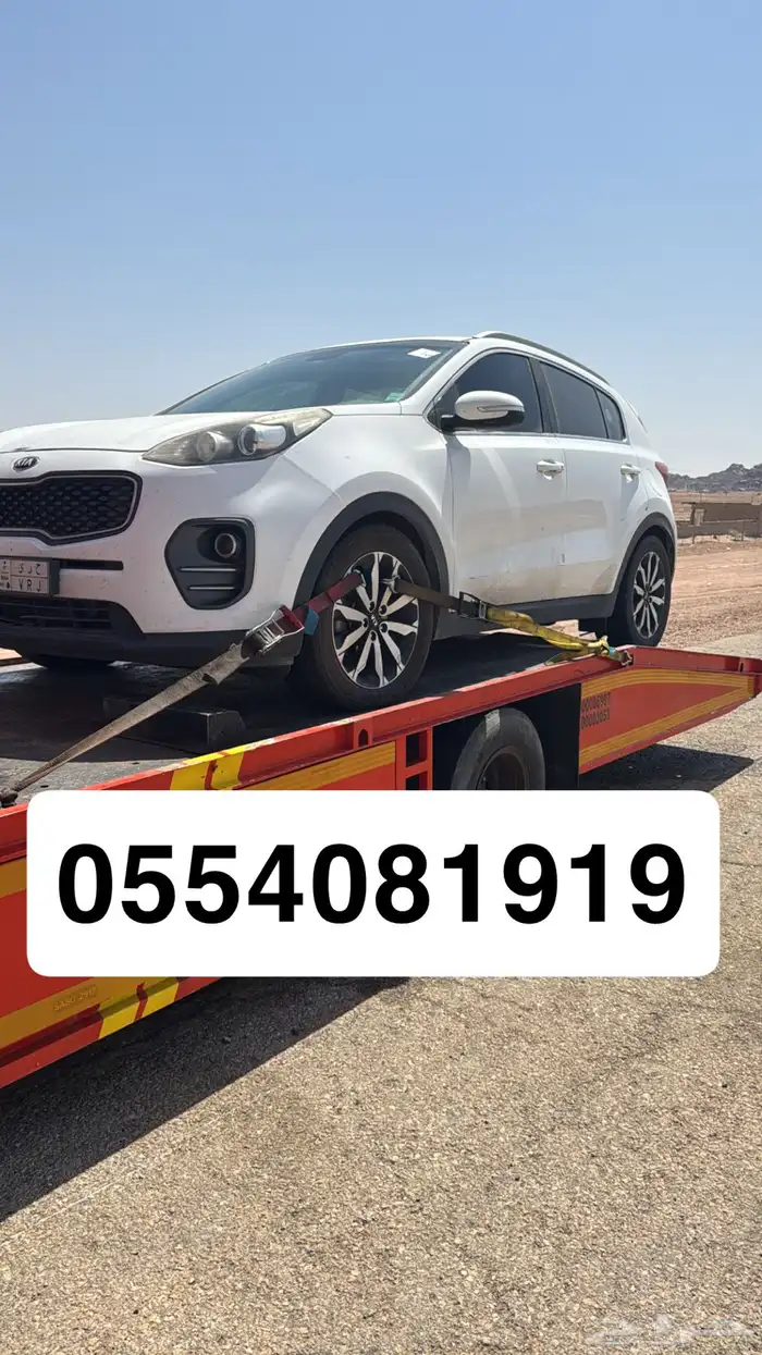 سطحه النبهانيه البتراء 0