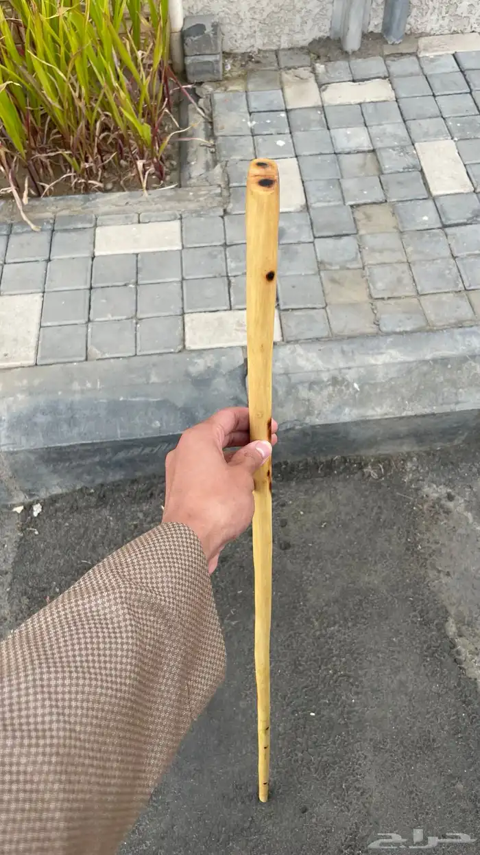 مشعاب جنوبي ممتاز 5