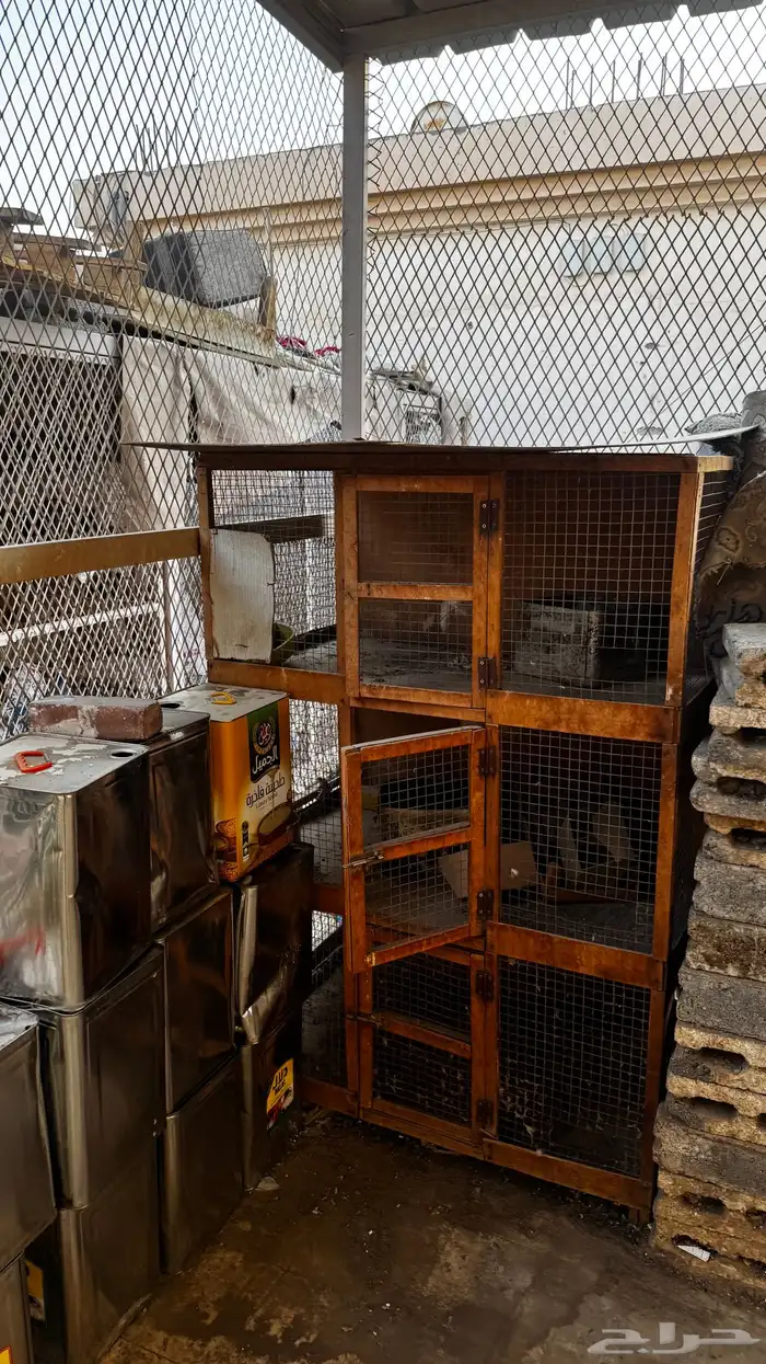 محاكر حمام 4