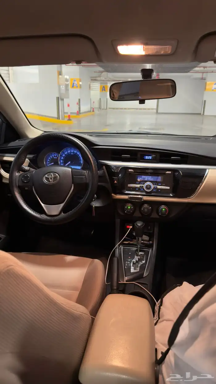 كوريلا 2015 20