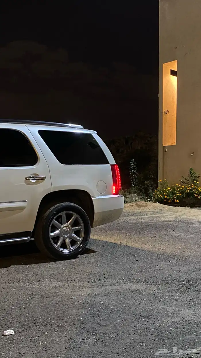 جمس دينالي وارد امريكا 0