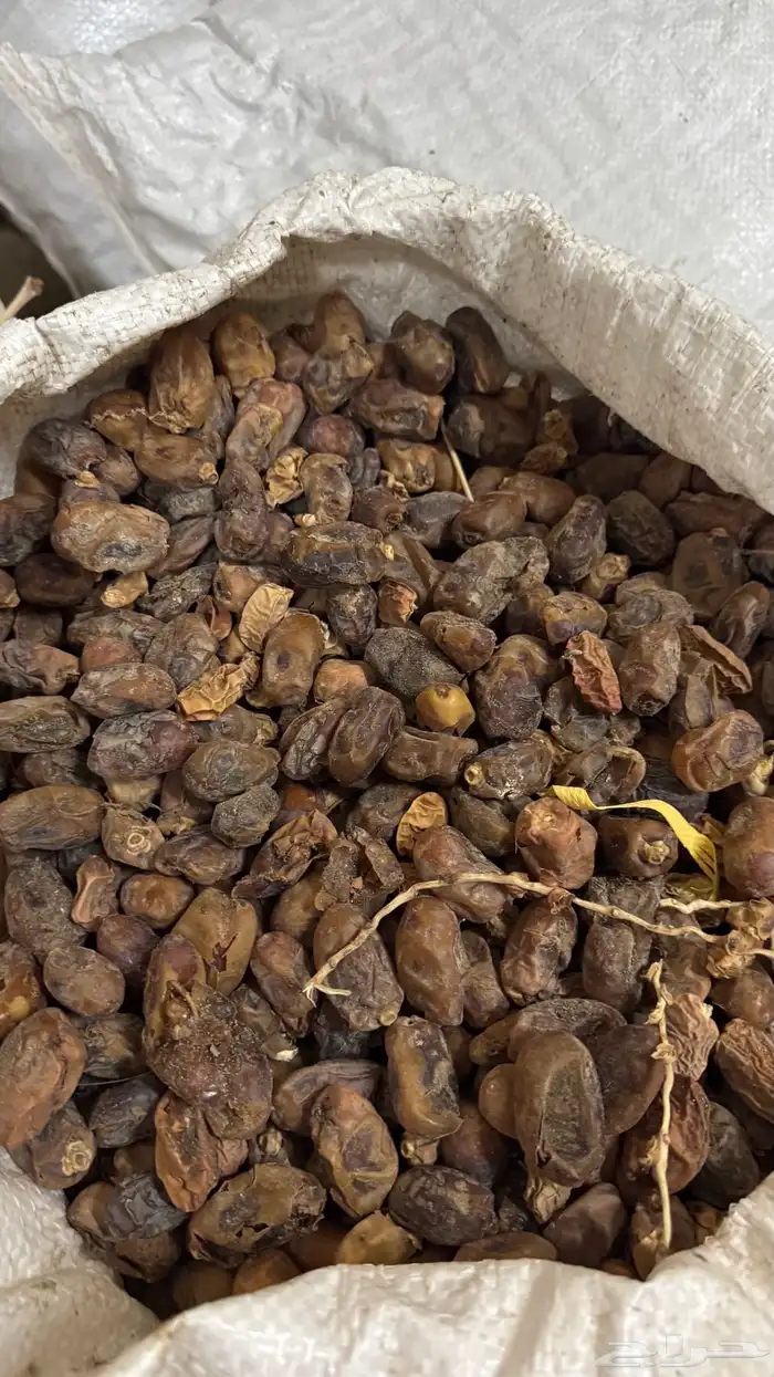 تمر حلال ممتاز جدا 8 اكياس 1