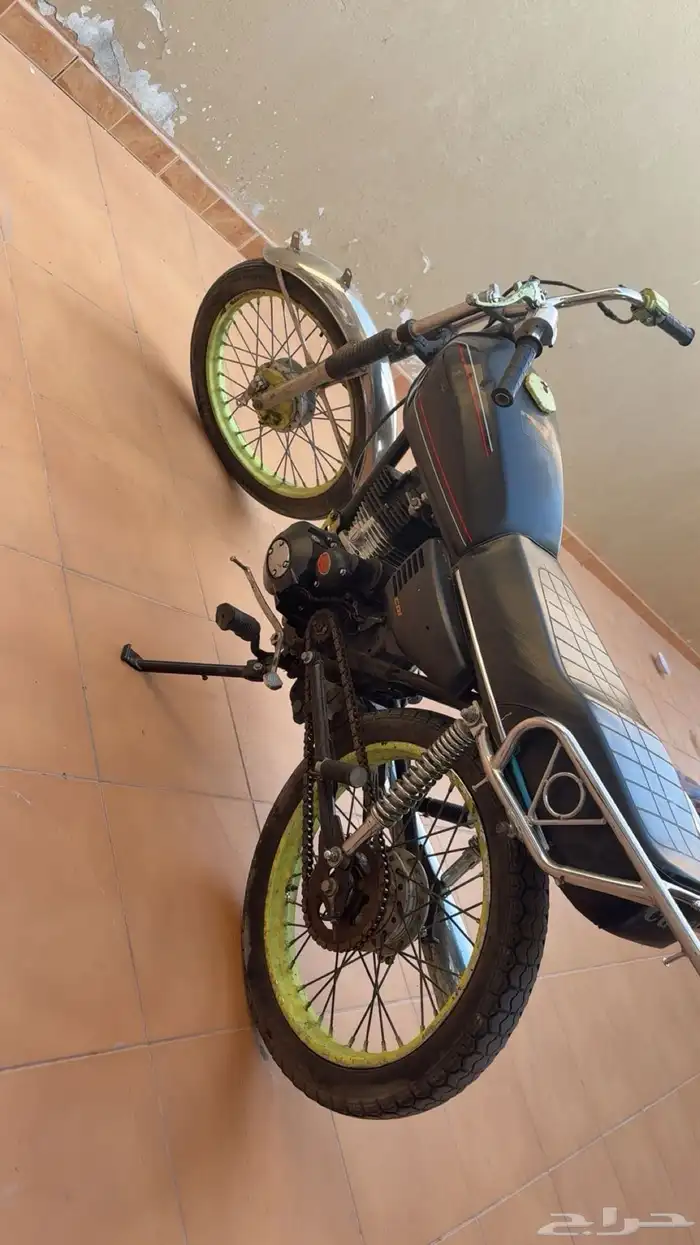 دباب محمود طرام 0