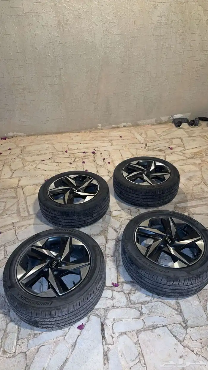 جنوط النترا وكاله فل كامل 2022 9