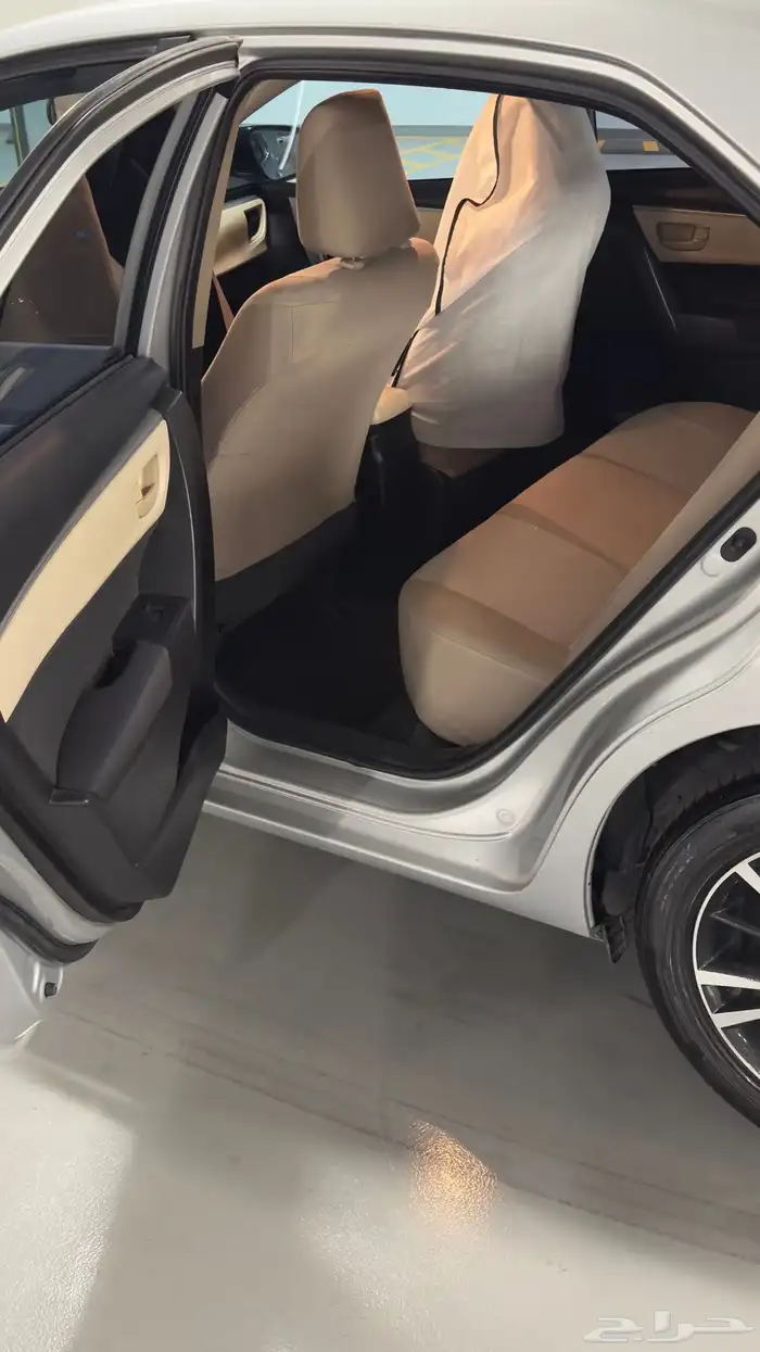 كوريلا 2015 12