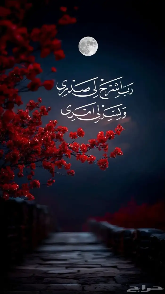 توصيل مشاوير داخل مكة 0