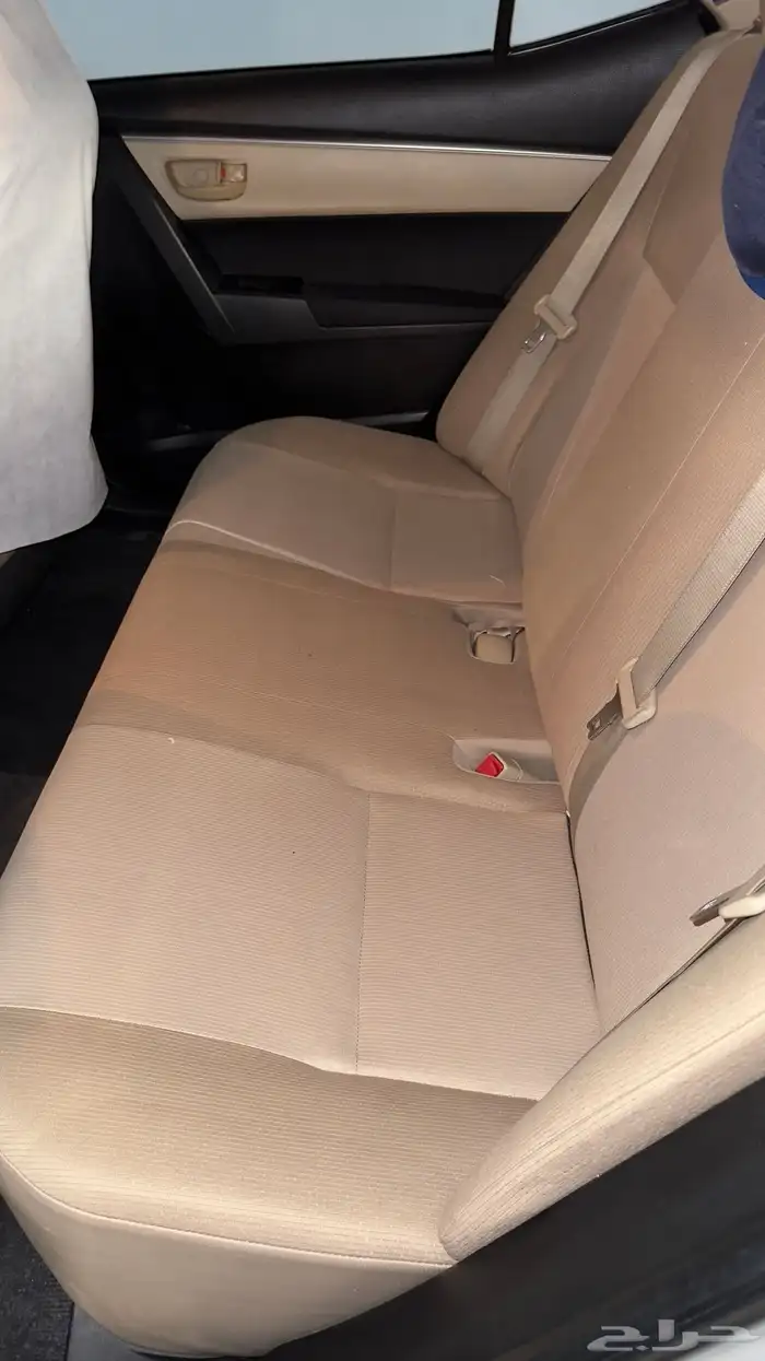 كوريلا 2015 16