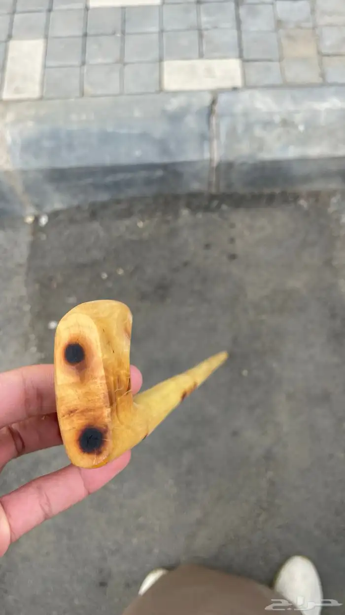 مشعاب جنوبي ممتاز 4