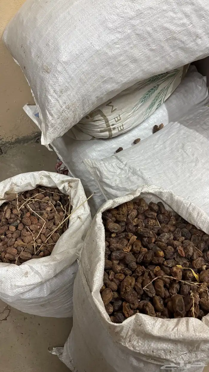 تمر حلال ممتاز جدا 8 اكياس 0