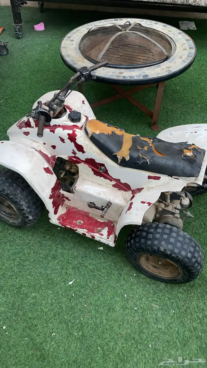 دباب على السوم 0