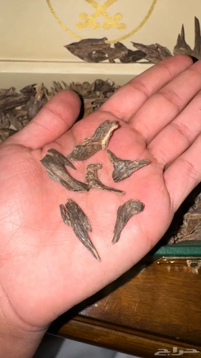 عود هندي فاخر 1