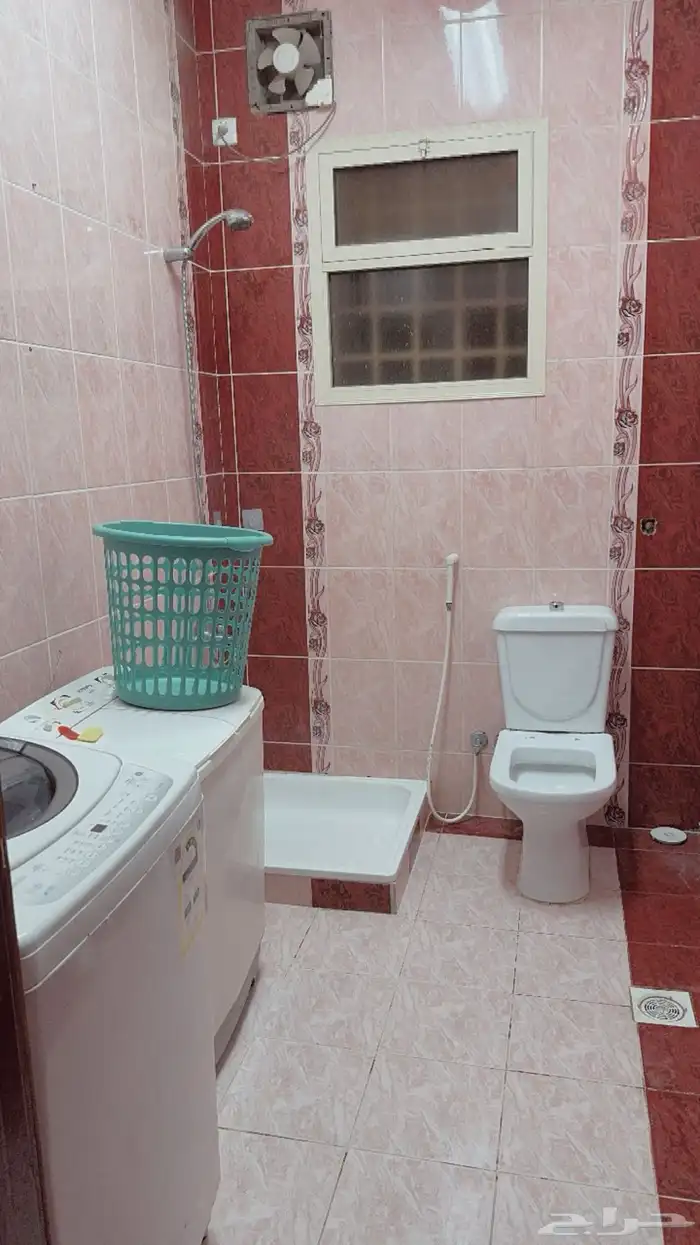 شقة للإيجار شقه للإيجار 1