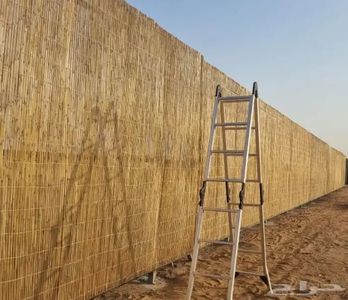 خيزران توريد 5