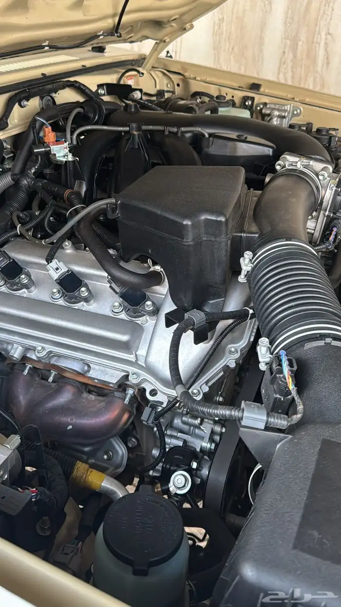 جيب ربع 2022 18