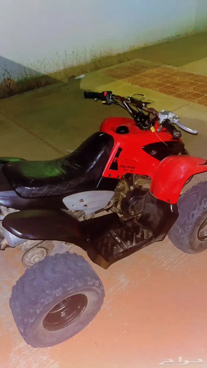 دباب تايواني نظيف 1