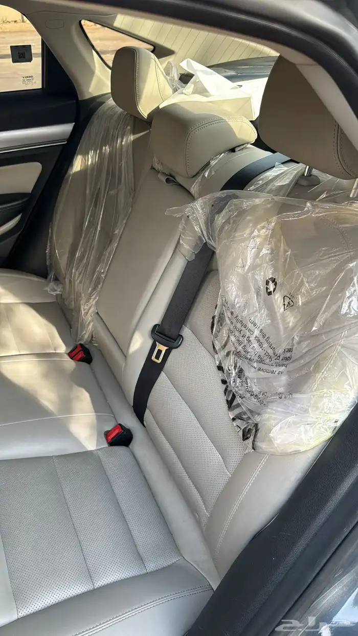 جيلي بينراي 2022 11