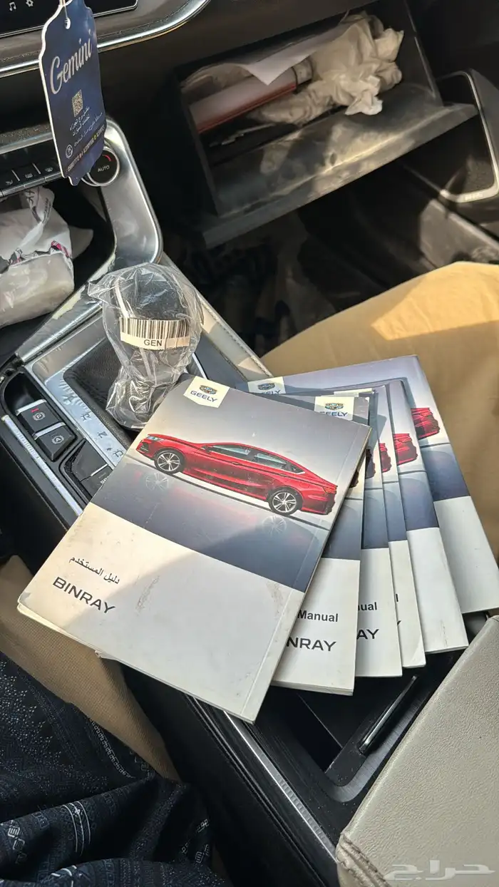 جيلي بينراي 2022 10