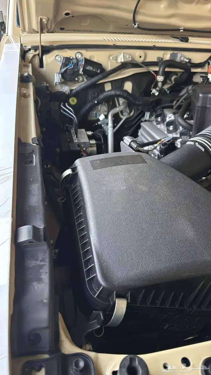 جيب ربع 2022 16